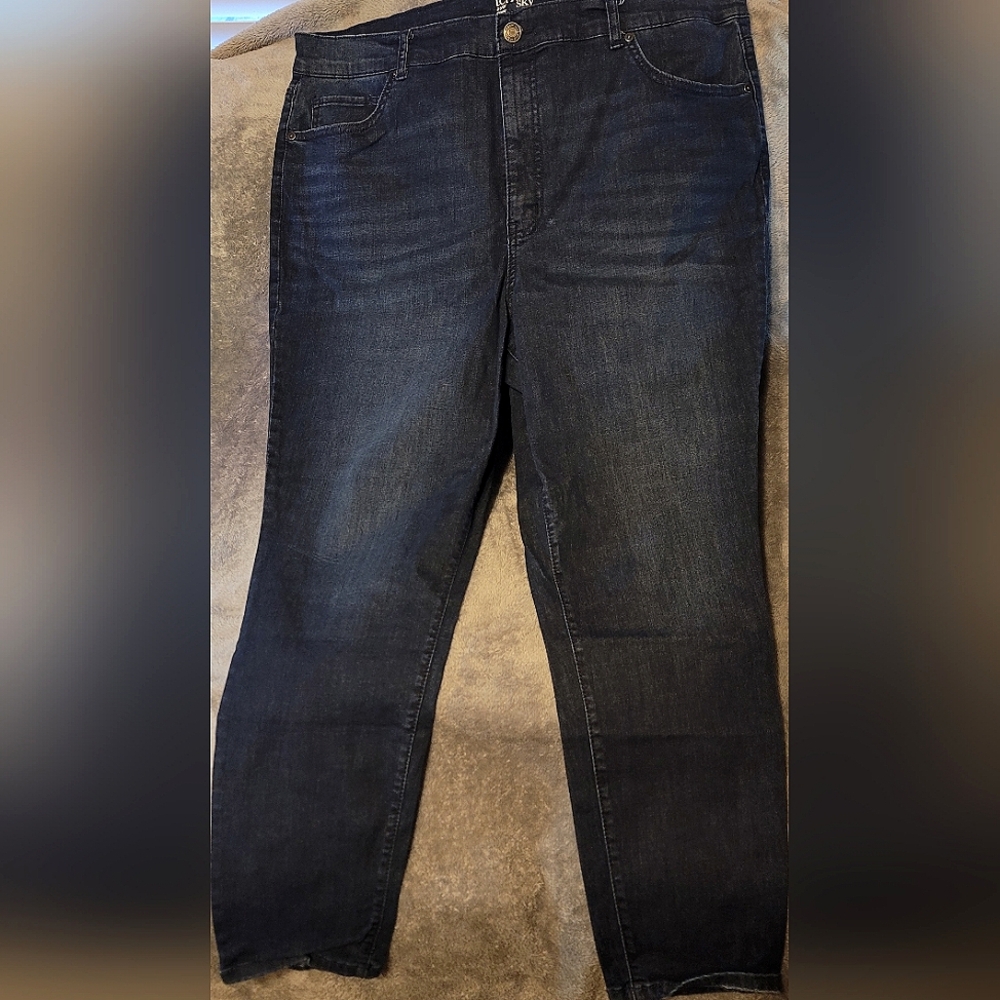 Terra & Sky Plus 20W Skinny Blue Denim Jeans Pants NWOT